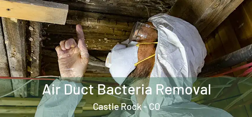  Air Duct Bacteria Removal Castle Rock - CO