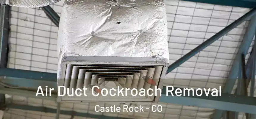  Air Duct Cockroach Removal Castle Rock - CO