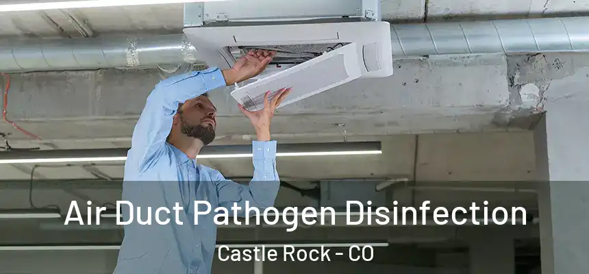  Air Duct Pathogen Disinfection Castle Rock - CO