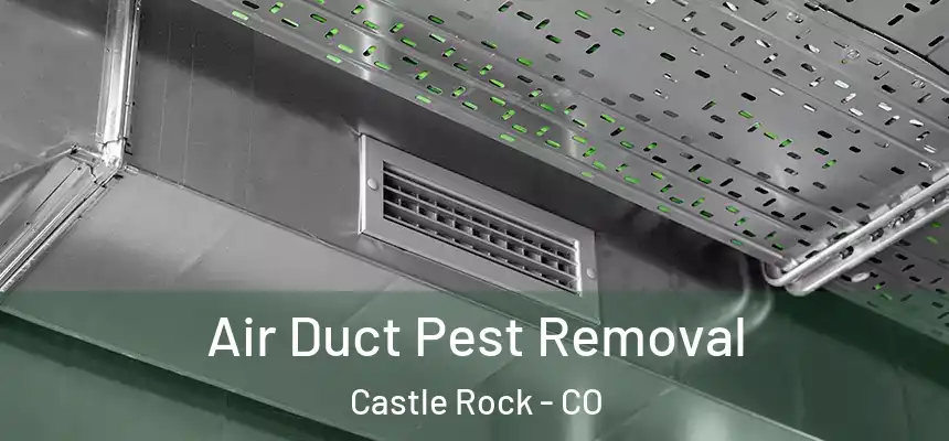  Air Duct Pest Removal Castle Rock - CO