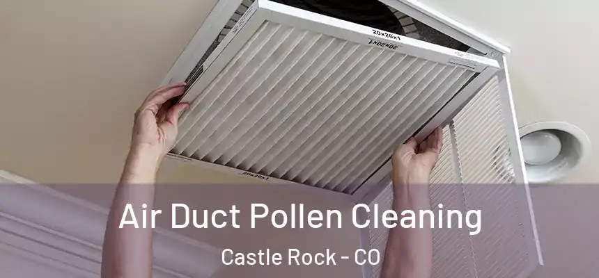  Air Duct Pollen Cleaning Castle Rock - CO