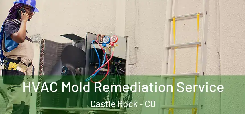 HVAC Mold Remediation Service Castle Rock - CO