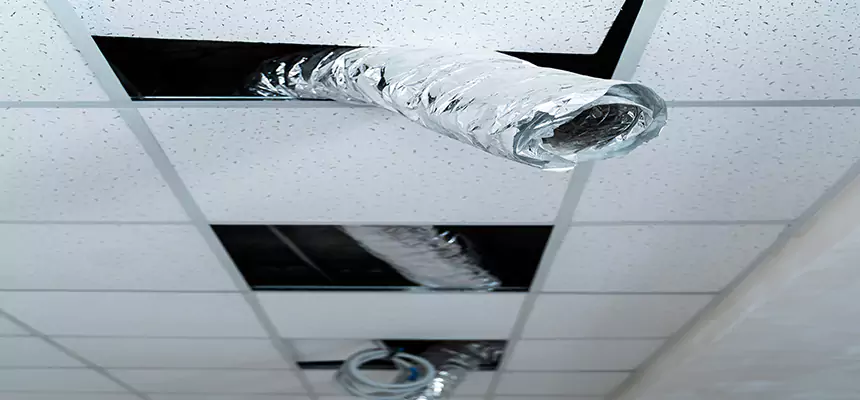 Affordable HVAC Sanitizing After Pest Removal in Castle Rock