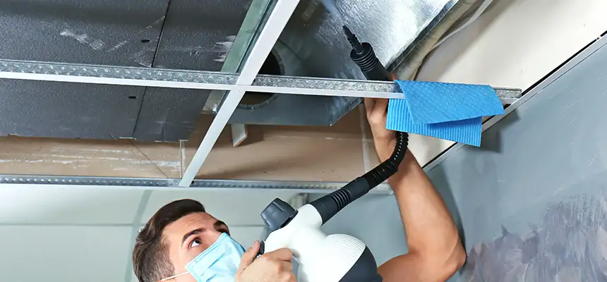 Our Air Duct Rodent Removal Services in Castle Rock, CO