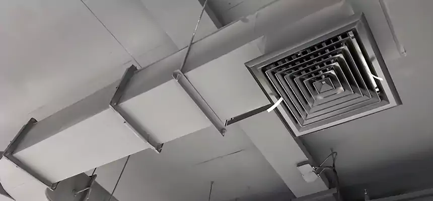 Restorative Allergy Relief Vent Cleaning – Coil, Blower & Housing Detail in Castle Rock