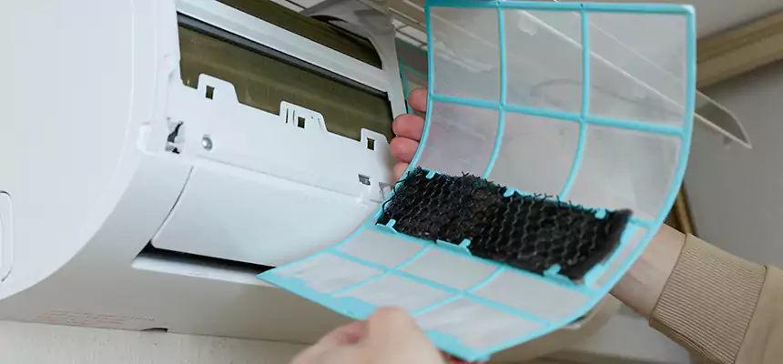 Gentle Ductwork Odor-Control Pet Dander Duct Cleaning in Castle Rock, CO