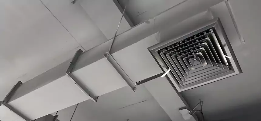 Our Rodent Droppings In Vents Services in Castle Rock, CO