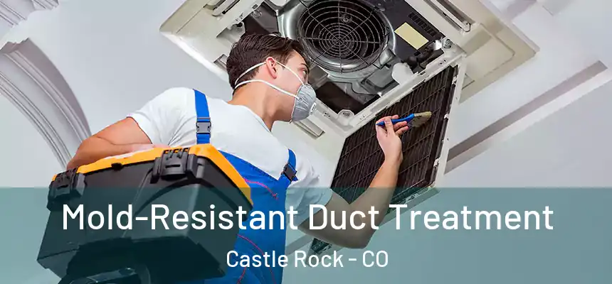  Mold-Resistant Duct Treatment Castle Rock - CO