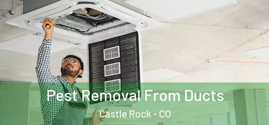 Pest Removal From Ducts Castle Rock - CO