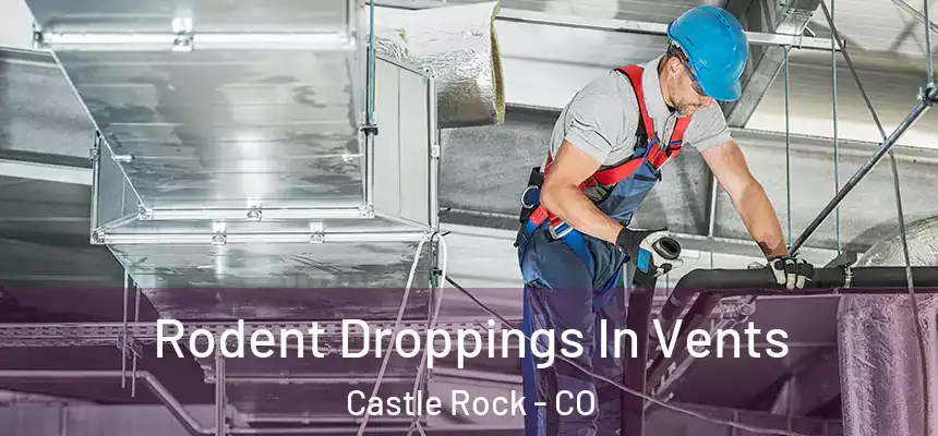 Rodent Droppings In Vents Castle Rock - CO