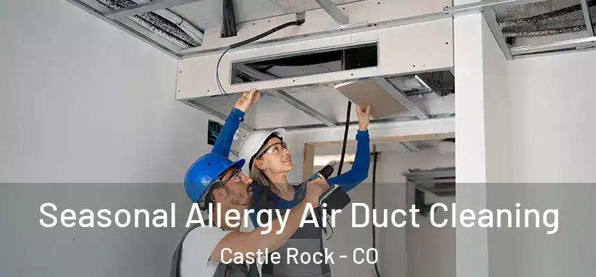  Seasonal Allergy Air Duct Cleaning Castle Rock - CO