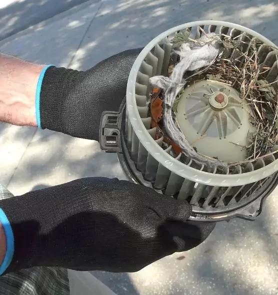 About Air Duct Mice Removal in Castle Rock, CO