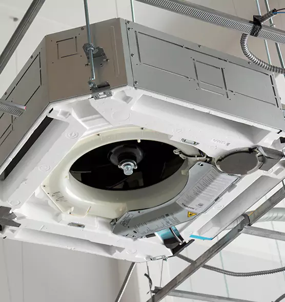 Professional Roof Vent Lint Removal Castle Rock, CO