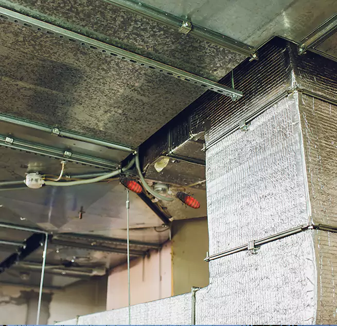 Why Homeowners & Businesses Trust Us Castle Rock, CO?