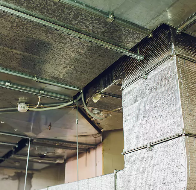 Why Homeowners & Businesses Trust Us in Castle Rock, CO?