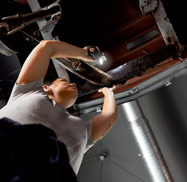 Why Homeowners & Businesses Trust Us Castle Rock, CO